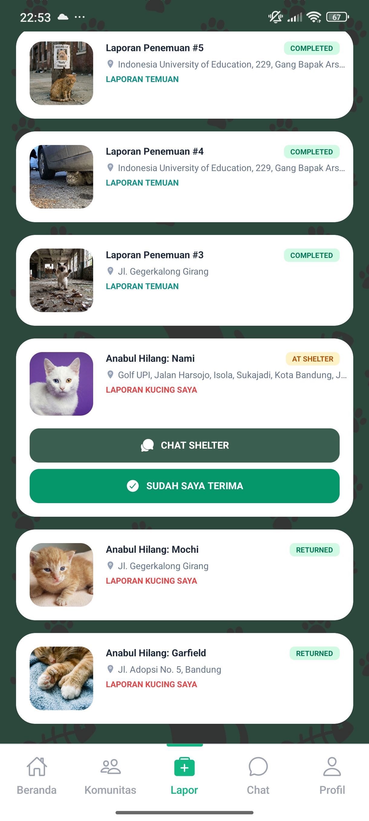 Screenshot 17