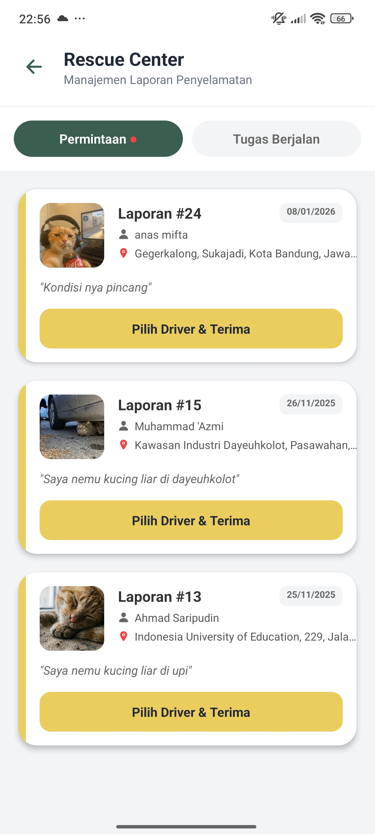 Screenshot 34