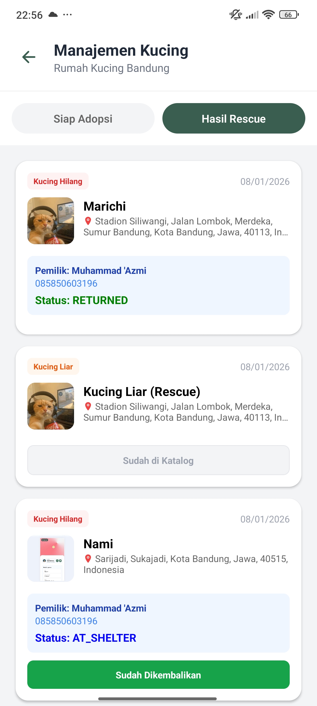 Screenshot 38