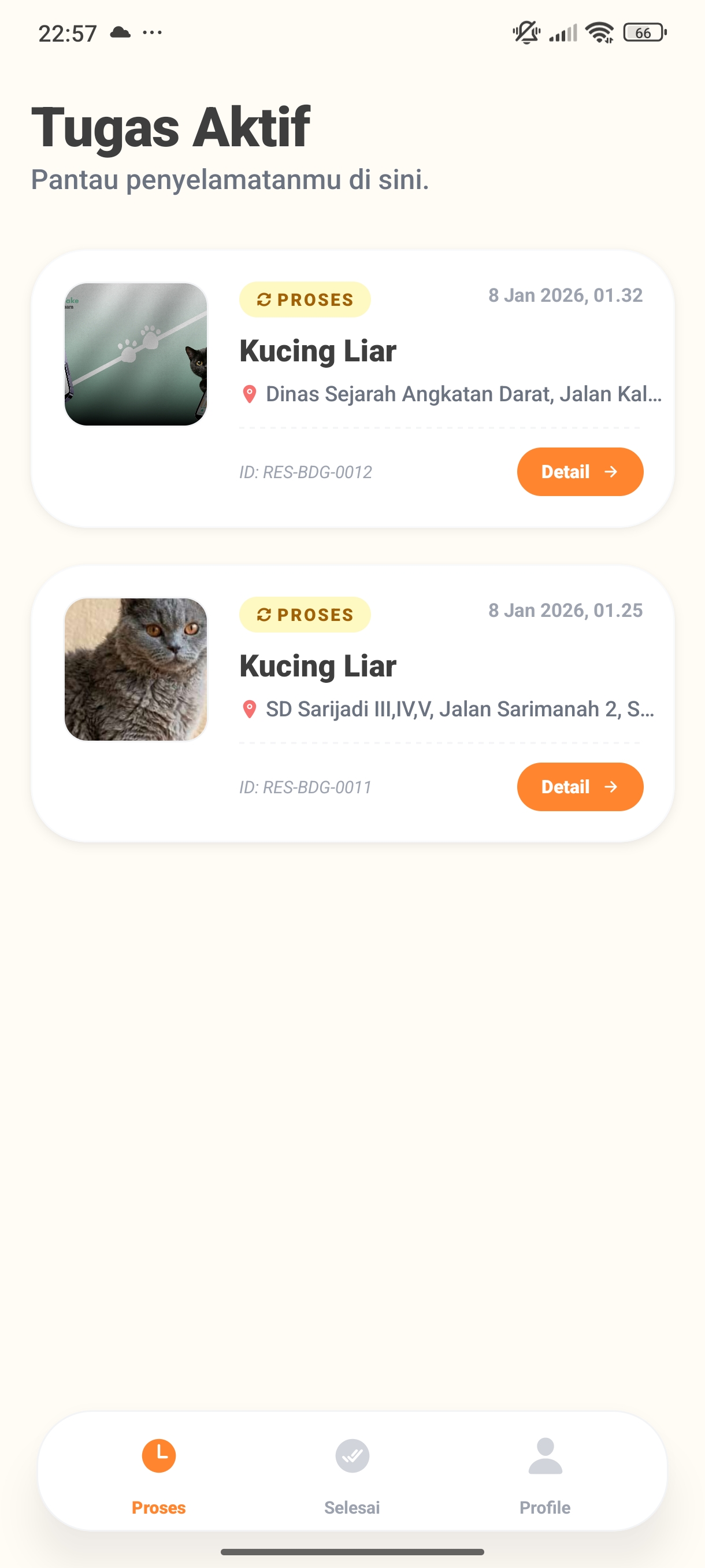 Screenshot 42